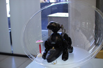 IMG04038.jpg