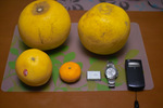 IMG10183.jpg